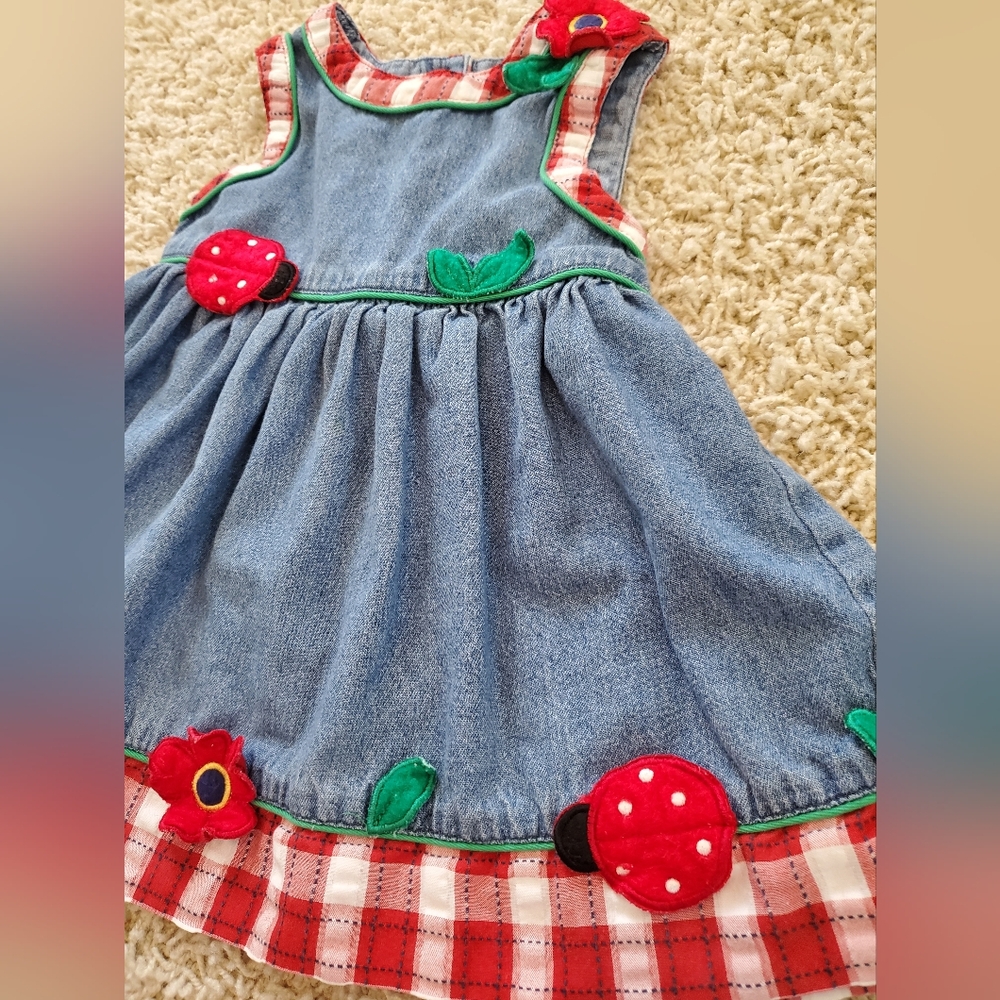 Vintage Jean Ladybug Dress